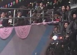 91秀安卓版最新版本上线，丰富内容尽在其中