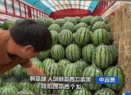 从追求便利到安全保障：高清🈚码🔞❌♋免91官方版的演变与未来