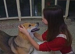 吴忠市最新破解：免费观看45分钟高清电视的软件免费版带来新体验