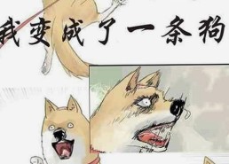 免费观看45分钟高清电视动漫：体验最新动画的变化与挑战