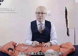 探索91免费版：满足您的多样观看需求