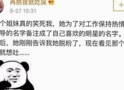 全面解析91网站官方版下载及其相关资源