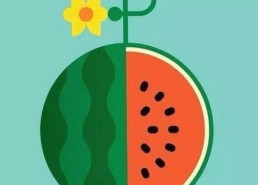 jm天堂官方版下载：最新版本介绍与资源获取指南