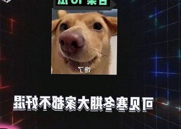 最新禁漫天堂下载指南：畅享丰富内容与热门资源