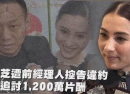 深入解析：91漫画官方版下载免费版的最新发展与应用