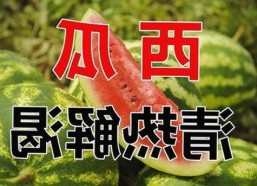 全面解析樱花视频官方版正版下载：最新资源与使用指南