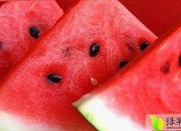 探索18馃埐官方版下载免费版：优质资源的最新选择