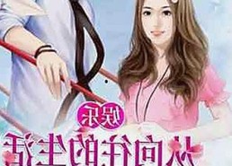 探索丫丫漫画免费漫画页面看漫画下载官方版下载的便捷途径