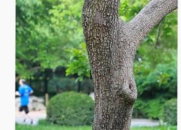 男的🈚放丄到女的最新版下载：探索最新资源与下载方法