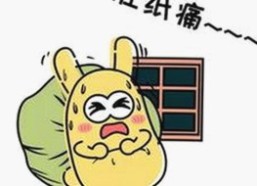 探索豆花视频官方版：最新内容与现状分析