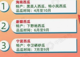 最新揭秘：91禁🍆🍑🔞❌❌❌看片官方版正版下载的实用指南
