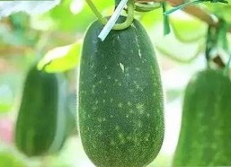 探索www.91色 萝网站樱花最新版的最新动态与功能