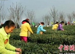 贵阳市用户热议：91下载与免费版的最新动态