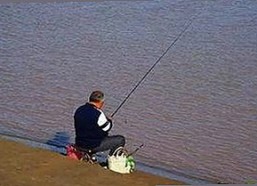 揭秘明星娱乐圈新动态：91香蕉视频官方版下载免费版成为焦点