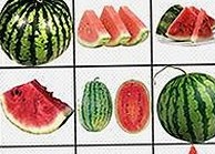 最新🔞🍌进去里❌❌❌17c视频官方版正版下载现已上线