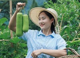 最新解读：91n官方版免费版带来极致体验，景德镇市用户热议