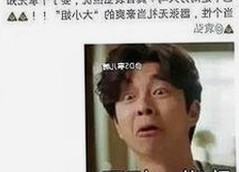 最新免费黄色官方免费版引领潮流，安全可靠看高清动漫