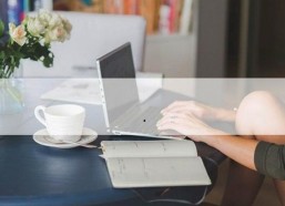 深入剖析：9.1免费网站nba入口免费版的现状与未来