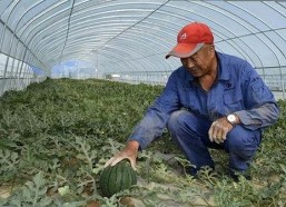 男🍌❌女🍑摸🐻水流是：最新内容解析与行业动态