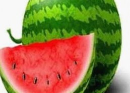 9.1免费网站nba入口：最新动态与实用指南