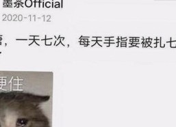 全面解析：看片官方免费版的最新发展与应用