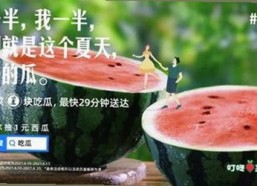 最新体验：91免费v26.7.8 安卓手机版带来全新功能与优化