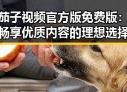 茄子视频官方版免费版：畅享优质内容的理想选择