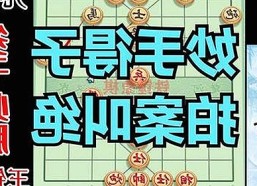 关于www.91与免费版的最新动态与相关资源