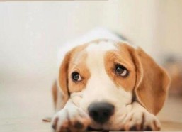 揭秘南平市网络热点：91禁🍆🍑🔞❌❌❌看片免费版官方版的精彩内容