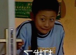 全面解析：免费91免费版如何满足多样观影需求