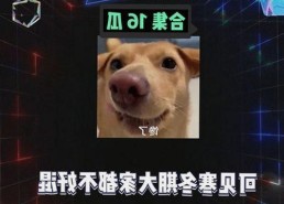 全面解析www91官方版下载：儋州市用户的最佳选择