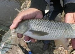 最新上线：已满十八岁电视剧完整版免费版官方版全解析