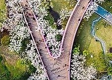 南平市用户体验：妺妺用🐻夹我的🍌网站91官方版下载新体验揭秘