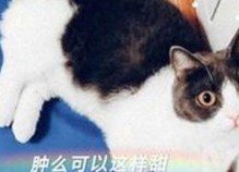 阜阳市居民热议：如何享受 免费观看45分钟高清电视动漫官方免费版的最新体验