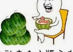 从旧版到最新：www91官方版的演变与变化