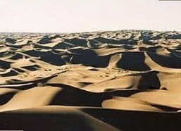 关于男的🈚放丄到女的最新版下载的讨论与现状