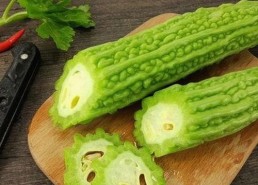 探索池州市用户如何使用91n免费版获取高清影视资源