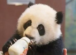 威海市用户热议：17c.一起草🌿在线观看免费免费版官方版最新体验