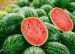 最新发现：黄色软件下载免费版助你畅享海量内容