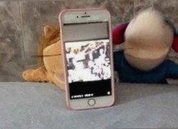 如何使用菠萝TV免费版观看河池市的热门剧集