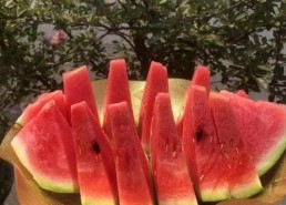 男🍌❌女🍑摸🐻水流是免费版下载：最新资源与安全指南