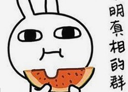 娱乐圈最新动态：明星纷纷选择www.91免费版下载以获取优质内容