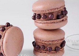 最新发现：如何安全下载www91官方版正版下载及相关资源