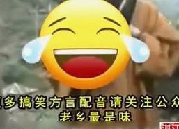 黑料 官网官方版正版下载：最新版本体验全解析