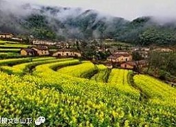 最新动态：www.199麻豆免费版官方版全面升级，满足多样观影需求