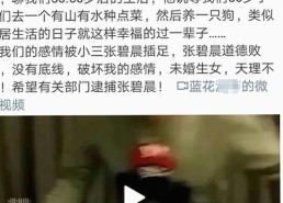 解析高清乱码🔞❌♋免91官方版的现状与未来