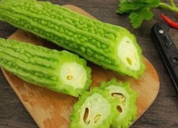 禁漫天堂下载终极手册：最新资源介绍与使用指南