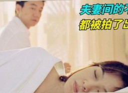 探索91免费2026最新版：最新内容与下载指南分析