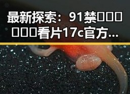 最新探索：91禁🍆🍑🔞❌❌❌看片17c官方版免费版现状分析