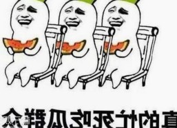 探索爱爱网免费版下载的便捷与多样选择